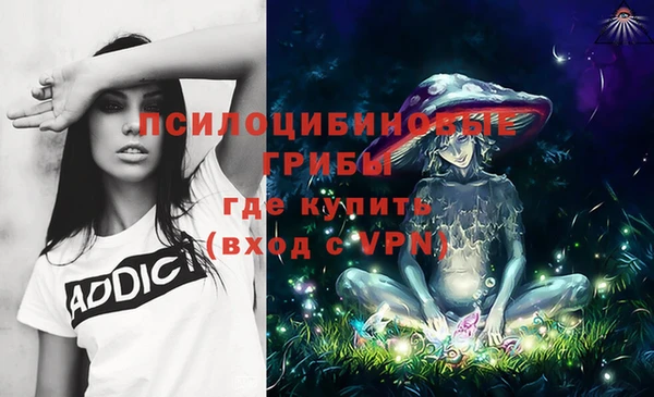 круглые Армянск